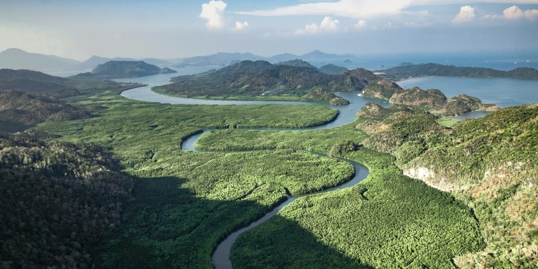 Aerial view of Langkawi mangrove rivers, forest and islands